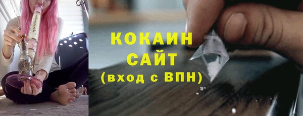 ПСИЛОЦИБИНОВЫЕ ГРИБЫ Щучье