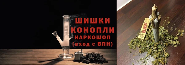 apvp Костерёво