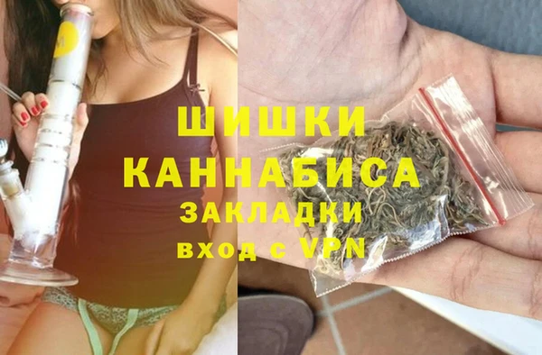 PSILOCYBIN Кодинск