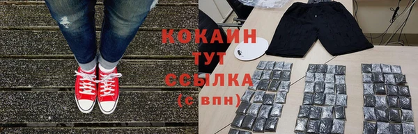 PSILOCYBIN Кодинск