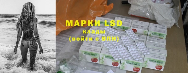 PSILOCYBIN Кодинск