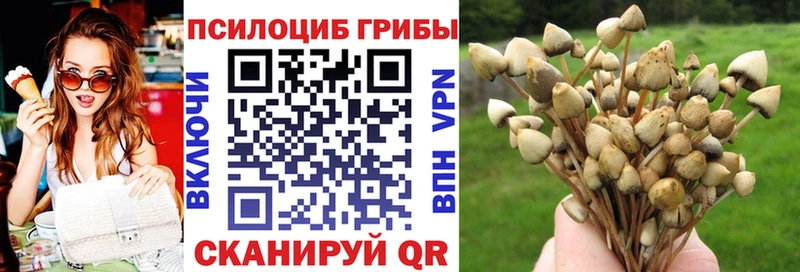 Купить где  Краснокамск  Псилоцибиновые грибы Magic Shrooms 